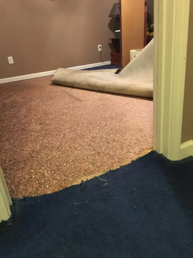 Carpet pad removal revealing water damage during Water Mitigation Services in Creedmoor
